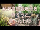 【自然農】自然栽培でお米をつくりをしたいと思った理由　#自然農 #不耕起 #無肥料 #無農薬 #玄米 #稲作  #自然栽培米