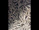 75683764056__326145C5-995B-43E2-AE57-2C9D8C2AD363