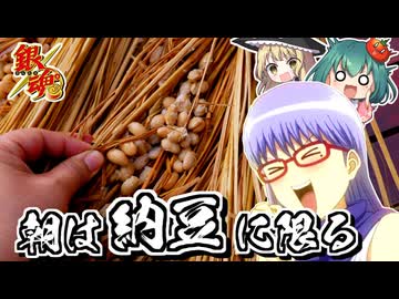 【銀魂】猿飛さっちゃんの大好きな納豆をワラからつくってみる！【料理】【ゆっくり実況】