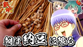 【銀魂】猿飛さっちゃんの大好きな納豆をワラからつくってみる！【料理】【ゆっくり実況】