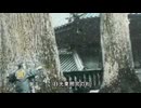 歴史秘話　銀杏の木の実は祝福　神楽坂若宮八幡神社