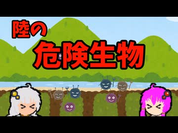 【VOICEROID解説】ゆかり先輩と見る危険生物【陸編23】