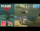 【ゼルダの伝説BotW】初めてのブレワイ！折れない心で未知の世界へ！#8？【実況】