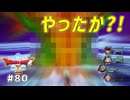 #80 【ドラゴンクエストⅩオフライン】再・決戦！ネルゲル！！【目覚めし五つの種族】※ネタバレ注意