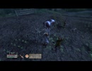 【実況】The Elder Scrolls Ⅳ:Oblivion #24