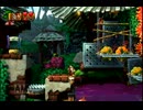 【実況】僕らの夏を取り戻せ！ドンキーコングトロピカルフリーズPart１１