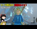 【ゆっくり実況】初めてのティアーズオブザキングダム！ part219 【ティアーズオブザキングダム】
