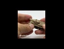 Transformed tank  変形できる戦車