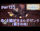 【独り言実況】ゲーム内方向音痴が喘ぐ？モンハンアイスボーン【Part25】