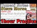 【じっくり練習】スティーブ・モーズのギターピッキング - Tumeni NotesTAB【1時間練習繰り返し】