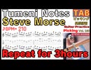 スティーブ・モーズのギターピッキング反復練習 - Tumeni Notes TAB