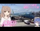 ベトナム航空 関空－ハノイ便 (さとうささらの海外旅行2024)