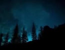 sons misteriosos da floresta a noite