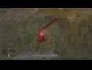 エルデンリング RMDライジングマストダイ侵入Part 8