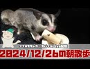 【 #おはモモンガ 】【 #朝活  】 #フクロモモンガ の朝散歩をライブ配信！2024/12/26 【 #アーカイブ 】