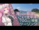 海も山も酷道こえて太平洋へ ロングツーリング後編【四国めたん車載】
