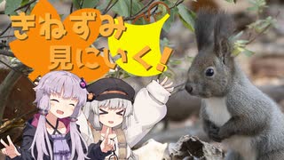 ゆかりとあかりの生き物帳【秋～冬のきねずみ】