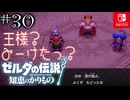 【カリモノ実況30】おまえの娘じゃない！【ゼルダの伝説 知恵のかりもの】
