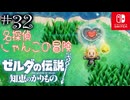 【カリモノ実況32】真実はいつも一つ【ゼルダの伝説 知恵のかりもの】
