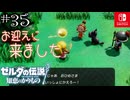 【カリモノ実況35】お外はアブナイ！【ゼルダの伝説 知恵のかりもの】
