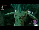 #78【ゼルダの伝説 ティアーズ オブ ザ キングダム】勇者くらいになると龍に乗ることは普通のこと！