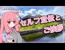 【茜ちゃんとお城の話】琴葉姉妹のお城さんぽのセルフ宣伝とご挨拶【セルフ宣伝祭】