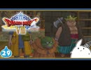 【DQ8＊実況】これが現状最後の初見で大冒険！第二十九章