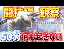 【実況】モンスターの生態観察が 出来ませんでした【モンスターハンターワールド：アイスボーン】