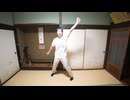 【アニー】星屑オーケストラ /H△G 踊ってみた
