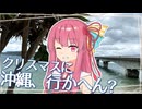ゆかあかがクリスマスに沖縄に行く話【ソフトウェアトーク旅行】