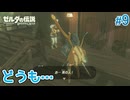 【ゼルダの伝説BotW】初めてのブレワイ！折れない心で未知の世界へ！#9【実況】