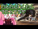 【MTGA】帰ってきたクソデッカー茜ちゃん その536【ボイスロイド実況】