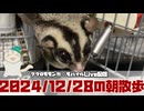 【 #おはモモンガ 】【 #朝活  】 #フクロモモンガ の朝散歩をライブ配信！2024/12/28 【 #アーカイブ 】