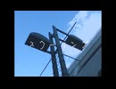 スクーリング / 歌愛ユキ