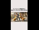 ワンちゃんが散歩中に吠えるのは・・・