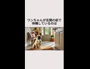 ワンちゃんが玄関の前で待機しているのは・・・