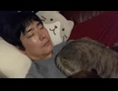 （大仏）紅白歌枠合戦参加者アワードシール許可どり作成放送（2024/12/21）