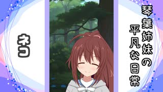 琴葉姉妹の平凡な日常 178『どうぐ屋⑬』【VOICEROID劇場】