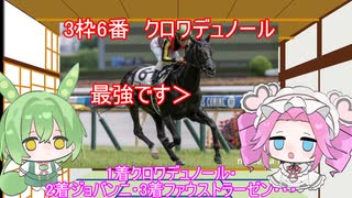 【ホープフルS2024結果】めたんちゃんはホープフルSの振り返りをするみたいです【サイン馬券】