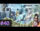 【マリオ】初スーパーマリオでピーチ救出作戦#40