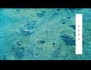 【歌ってみたメモリーズ2024】転校前夜歌ってみた【KOI存】