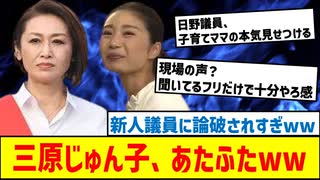 【国会炎上】国民民主党・日野紗里亜が三原大臣を追い詰める！「机上の空論では救えない」こども家庭庁の闇