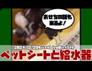 【 #おつモモンガ 】【 #切り抜き動画 】そんなに掃除するのは見栄えのため？ 【フクロモモンガの朝散歩2024/12/29の #ハイライト   】