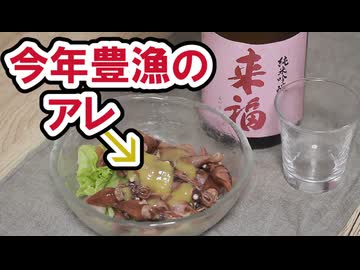 #178_【酒レビュー】今年豊漁のアレで晩酌