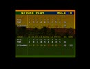 みんなのGOLF1(初代) ベガスデザートカントリークラブF -22(アイスマン使用)