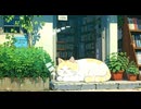 Lo-Fi BGM｜Here's what it looks like on the way home｜帰りはこんな感じ