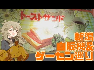 【レトロ自販機ほか】新潟県の全レトロ自販機設置店&秘境ゲーセン巡り&中古ゲーム漁り