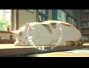 Lo-Fi BGM｜If I could go back to that day｜あの日に戻れたら