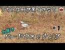 【野鳥観察】家の庭に何が来る？　#1