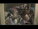 Resident Evil Found Footage 発見されたビデオテープ
